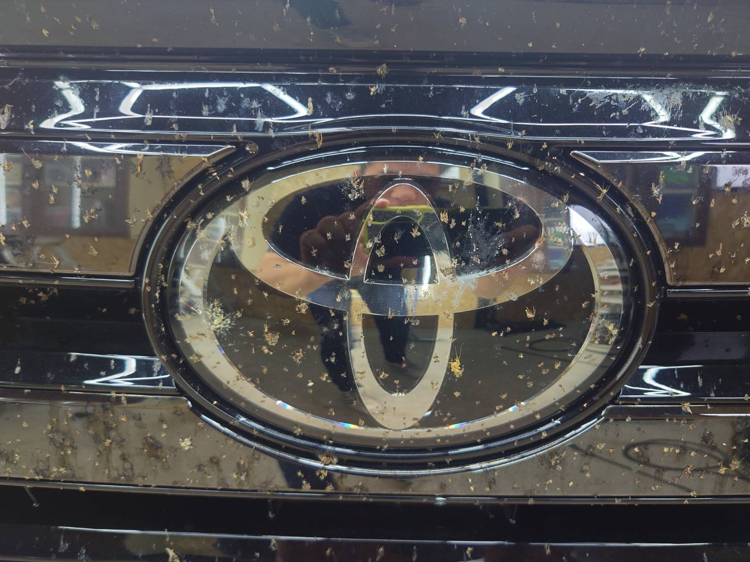 https://carwash-indigo.jp
